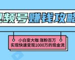 玩转微信视频号赚钱：小白变大咖涨粉百万实现快速变现1000万的现金流_微雨项目网
