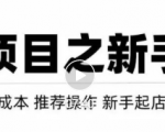 虚拟项目快速起店模式，0成本打造月入几万虚拟店铺！_微雨项目网