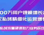 8000万用户规模增长方法论私域精细化运营增长，私域流量硬课助力业务跃迁_微雨项目网