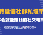 玩转微信社群私域带货,学会就能赚钱的社交电商,在家兼职副业再挣8000+_微雨项目网