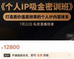 个人IP吸金密训班，打造高价值高效率的个人IP内容体系（价值12800元）_微雨项目网