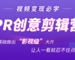 抖音赚钱必学的PR创意剪辑：零基础做出“影视级”大片，让人一看就忍不住为你点赞！_微雨项目网