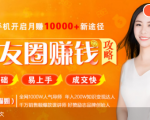 全网千万人气导师亲授：零基础/易上手的朋友圈赚钱攻略，让你轻松月入过万_微雨项目网