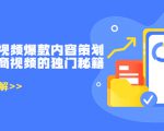 带货短视频爆款内容策划，关于电商视频的独门秘籍（价值499元）_微雨项目网