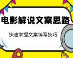 电影解说文案思路课，让你快速掌握文案编写的技巧（3节视频课程）_微雨项目网