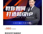 教你如何打造超级IP,抖音流量红利新机遇(价值980元)_微雨项目网