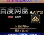 百度网盘无限扩容技术，外面卖399的，无论自己用还是用做引流都可以_微雨项目网