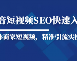 抖音短视频Seo搜索排名优化新手快速入门教程，实体商家短视频，精准引流实操课_微雨项目网