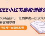 2022小红书高阶训练营：爆文制造技巧，低预算高roi投放技巧，内容营销思维_微雨项目网