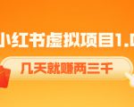 《小红书虚拟项目1.0》账号注册+养号+视频制作+引流+变现，几天就赚两三千_微雨项目网