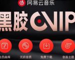 网易云音乐撸黑胶年卡及变现方法,收益可无限放大_微雨项目网
