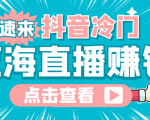 最新抖音冷门简单的蓝海直播赚钱玩法,流量大知道的人少,可做到全无人直播_微雨项目网