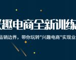 兴趣电商全新训练营:打破品销边界,带你玩转“兴趣电商“实现业务增长_微雨项目网