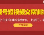 视频号短视频文案训练营：0基础小白如何建立视频号，上热门，能卖货！_微雨项目网