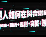 普通人如何在抖音赚到钱：策略 路线 规则 突破 赚钱（10节课）_微雨项目网