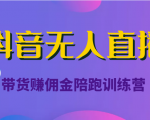 抖音无人直播带货赚佣金陪跑训练营(价值6980元)_微雨项目网