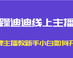暴躁迪迪线上主播课，金牌主播教新手小白如何开播_微雨项目网