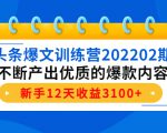 头条爆文训练营202202期，不断产出优质的爆款内容，新手12天收益3100+_微雨项目网