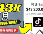 2022抖音国际版Tiktok赚钱项目：每天上传一个视频就轻松月入$43200_微雨项目网