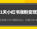 21天小红书涨粉变现营（第4期）：带你掌握小红书爆款玩法，月赚10W+秘密_微雨项目网
