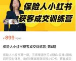 保险人小红书获客成交训练营，0基础高效玩转小红书，可复制的获客成交之路_微雨项目网