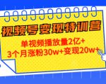 21天视频号变现特训营：单视频播放量2亿+3个月涨粉30w+变现20w+（第14期）_微雨项目网