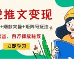 小说推文训练营:引流技巧+爆款实操+矩阵号玩法,百倍效益、百万播放秘笈_微雨项目网