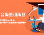 美业抖音流量训练营：从0到10w+粉丝 让你的门店用户增长+业绩增长+利润增长_微雨项目网