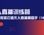 无人直播训练营:手把手教您打造无人直播操盘手(16节课时)_微雨项目网