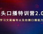 镜头口播特训营2.0版，学习文案编导以及拍摄口播能力（50节课时）_微雨项目网