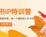 小红书IP特训营：从搭建-制作-爆款脚本等等，做一个赚钱的小红书号_微雨项目网