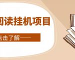 全自动阅读挂机项目，号称单窗10r，全套脚本+教程，小白上手简单_微雨项目网