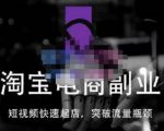 蓝Sir派·淘宝短视频快速起店，替代传统搜索方式，学会做一个不一样的淘宝店_微雨项目网
