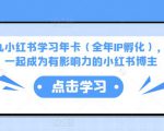 厦九九小红书学习年卡(全年IP孵化),沉浸式学习,一起成为有影响力的小红书博主_微雨项目网