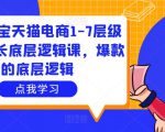 大圣淘宝天猫电商1-7层级盈利增长底层逻辑课，爆款的底层逻辑_微雨项目网