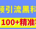 视频引流黑科技玩法，不花钱推广，视频播放量达到100万+，每日100+精准客源_微雨项目网