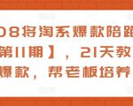 108将淘系爆款陪跑营【第11期】，21天教运营打爆款，帮老板培养运营_微雨项目网