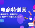 美团电商特训营:美团·店群玩法,无脑铺货月产出6000-15000+精细化月产2w+_微雨项目网
