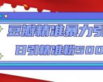 豆瓣精准暴力引流，日引精准粉500+【12课时】_微雨项目网