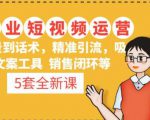 5套·美业短视频运营课从场景到话术·精准引流·吸金文案工具·销售闭环等_微雨项目网