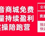 抖音商城搜索持续盈利陪跑成长营,抖音商城搜索从0-1、从1到10的全面解决方案_微雨项目网