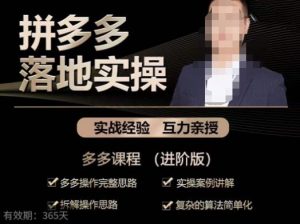 拼多多实战篇·落地实操:多多操作完整思路+实操案例讲解+拆解操作思路+复杂的算法简单化_微雨项目网