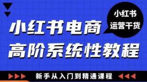 小红书电商高阶系统教程,新手从入门到精通系统课_微雨项目网