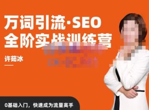许茹冰·万词引流-SEO全阶实战训练营,0基础入门,快速成为流量高手_微雨项目网