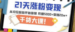 21天精准涨粉变现干货大课：从10位粉丝开始变现月增5000+变现20w+_微雨项目网