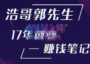 浩哥郭先生17年创业赚米笔记，打开你对很多东西的认知，让你知道原来赚钱或创业不单单是发力就行_微雨项目网