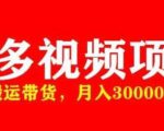 多多带货视频快速50爆款拿带货资格，搬运带货，月入30000【全套脚本+详细玩法】_微雨项目网