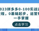 2023拼多多0-100实战运营教程，0基础起步，运营知识一手掌握_微雨项目网