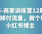 小红书-商家训练营12期：让商家丢掉付流量，做个赚钱的小红书博主_微雨项目网