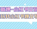 一写就爆-小红书文案课：带你玩转小红收爆文写作（45节课）_微雨项目网